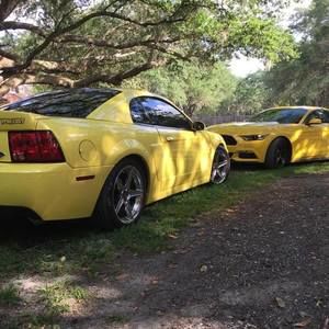 Meet your Posher, Roberta